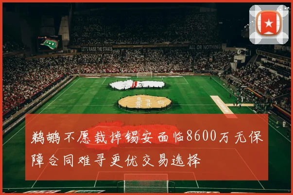 鹈鹕不愿裁掉锡安面临8600万无保障合同难寻更优交易选择